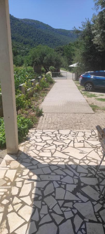 Apartmani Maslina Žuljana Εξωτερικό φωτογραφία