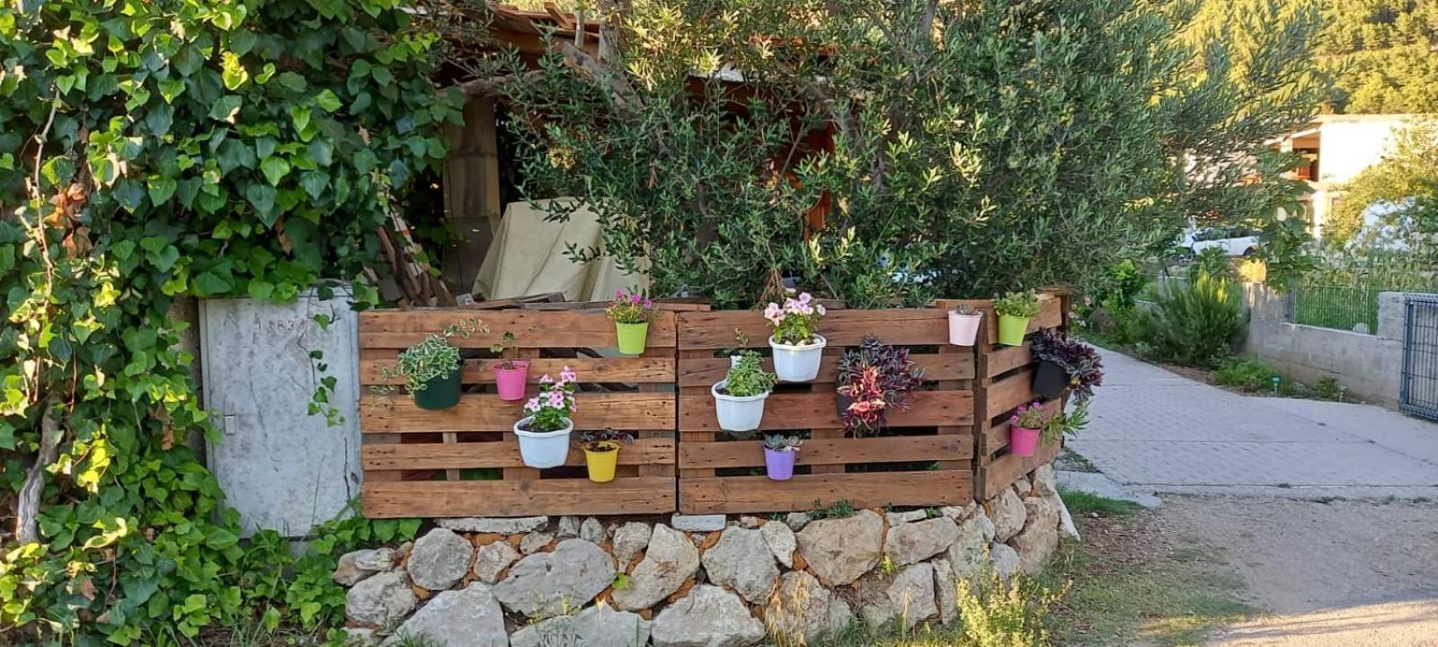 Apartmani Maslina Žuljana Εξωτερικό φωτογραφία