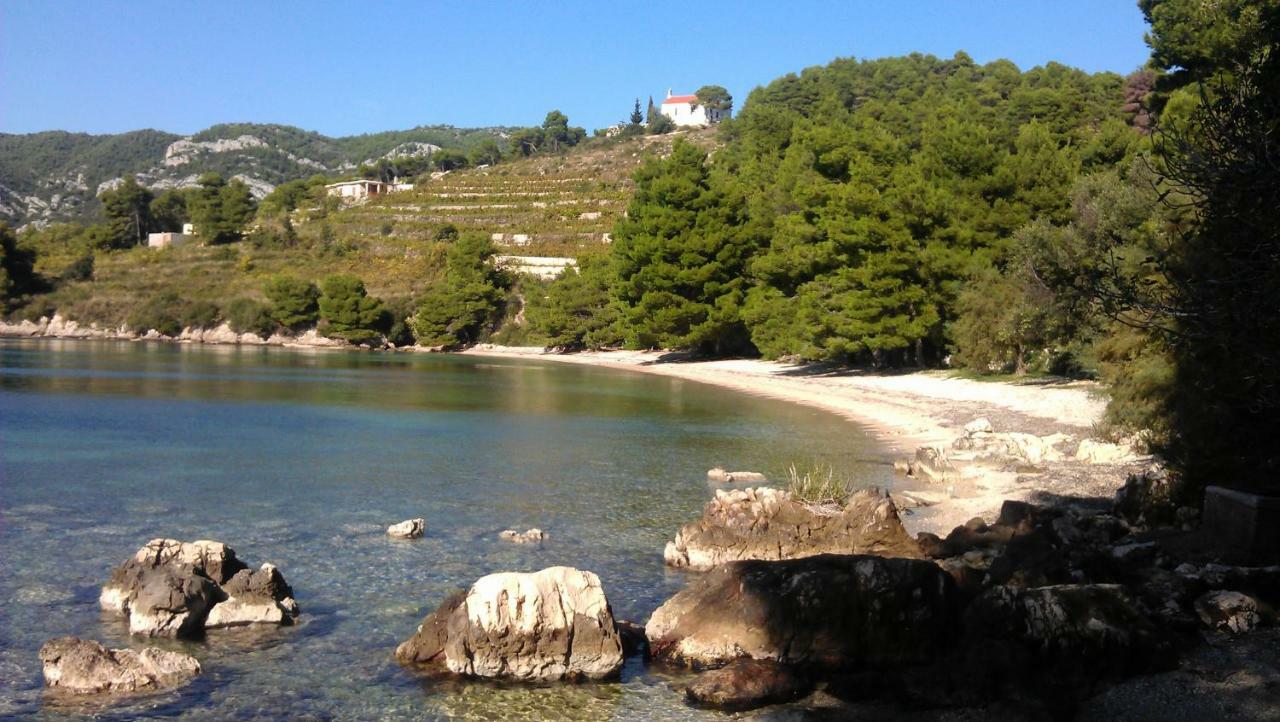 Apartmani Maslina Žuljana Εξωτερικό φωτογραφία